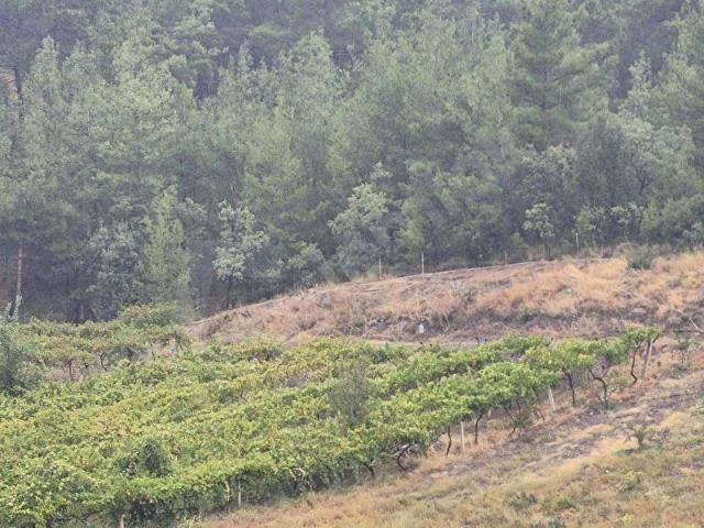 Cumhuriyet Mahallesi, Kavaklıdere içerisinde satılık Arsa