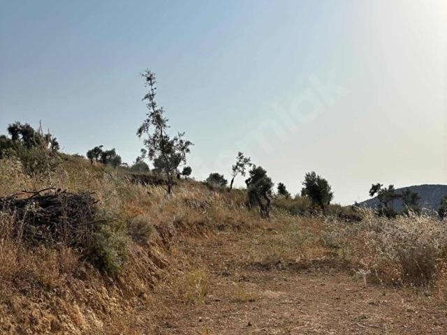 Torbali, İzmir içerisinde satılık Arsa