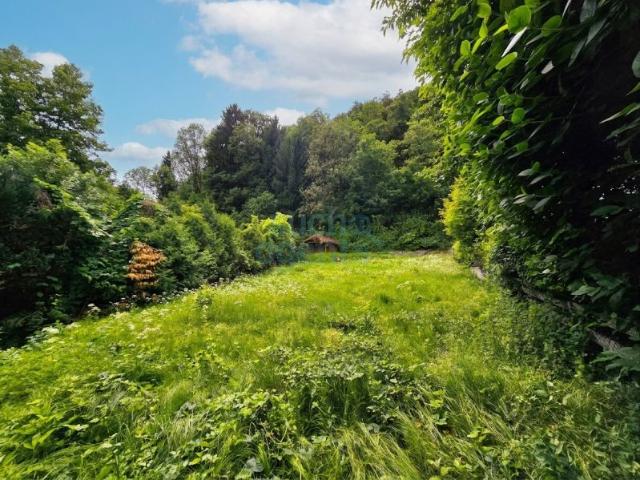 Grundstück kaufen in Linz, Oberösterreich