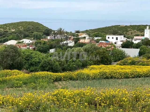 Propriété vente à Assilah, Tanger-Tétouan