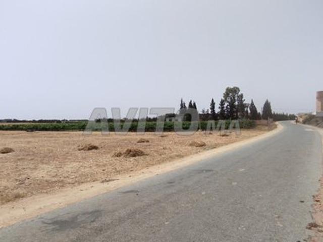 Propriété vente à Sidi Bennour, Gharb-Chrarda-Beni Hssen