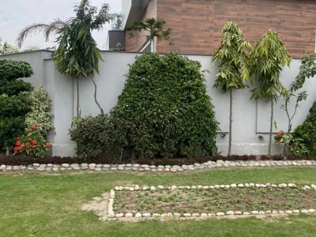 Land for sale in DHA Phase 7, ڈھیرا