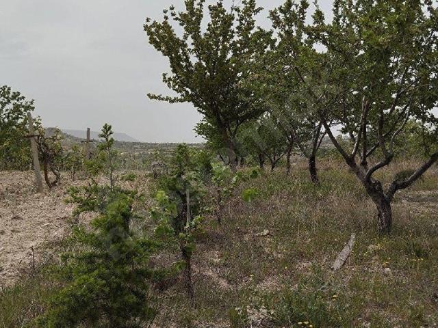 Ürgüp, Nevşehir içerisinde satılık Arsa