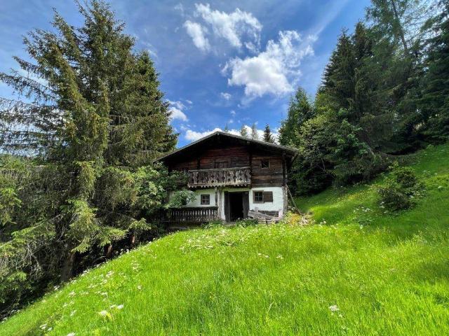Haus kaufen in Mühlbach am Hochkönig