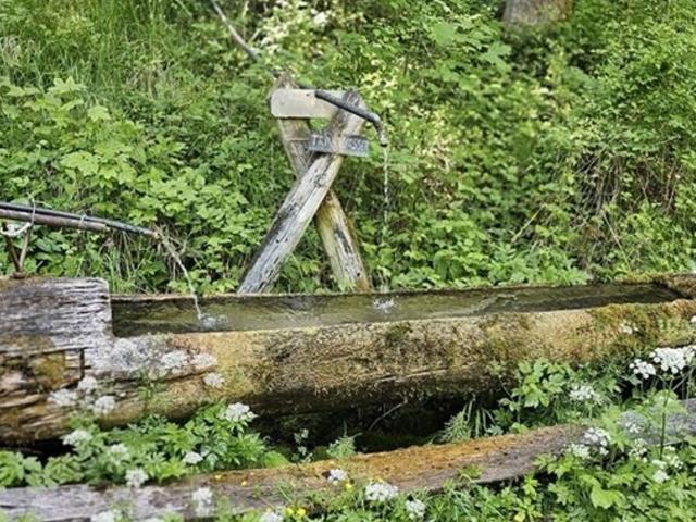 Landwirtschaft kaufen in St. Gallen, Steiermark
