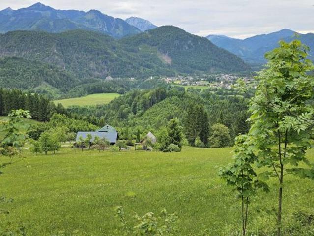 Bauernhaus kaufen in St. Gallen, Steiermark