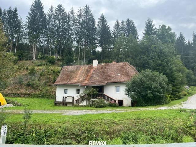 Haus kaufen in Weiz, Steiermark