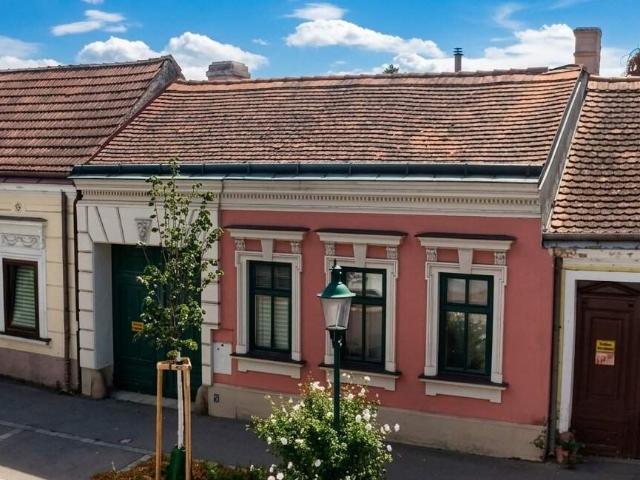 Haus kaufen in Floridsdorf, Wien
