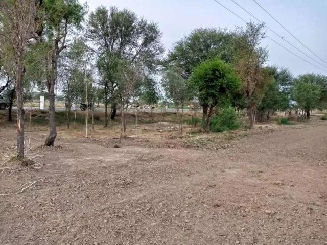Land for sale in Mianwali, Islamabad Capital Territory