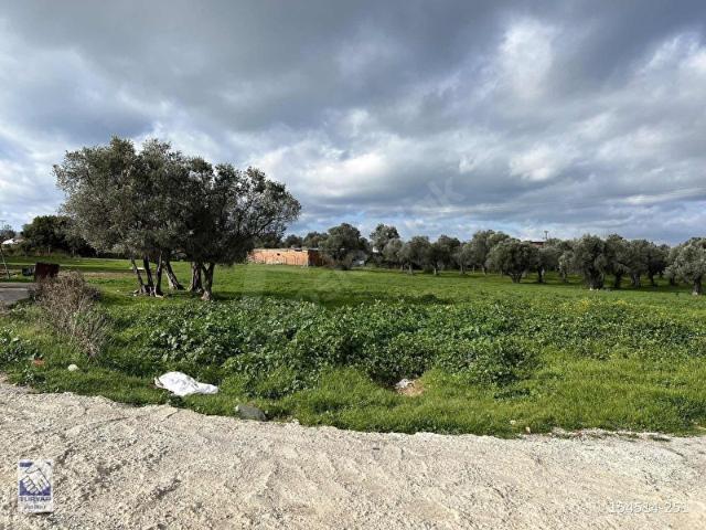 Urla, İzmir içerisinde satılık Arsa
