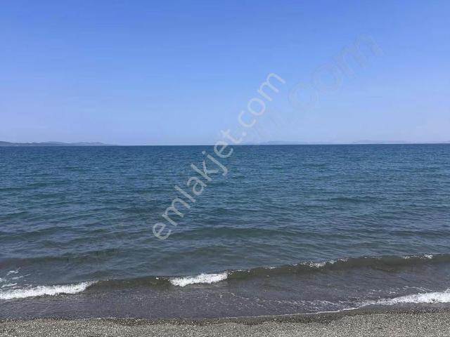 Urla, İzmir içerisinde kiralık mülk