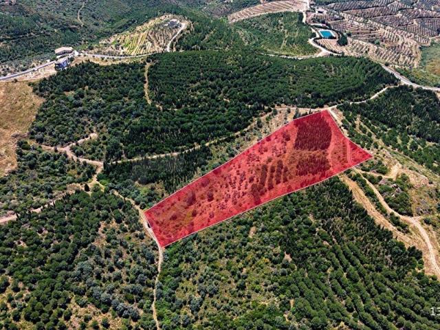 Urla, İzmir içerisinde satılık mülk
