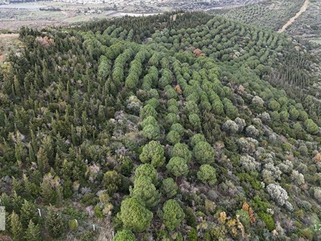 Urla, İzmir içerisinde satılık Arsa