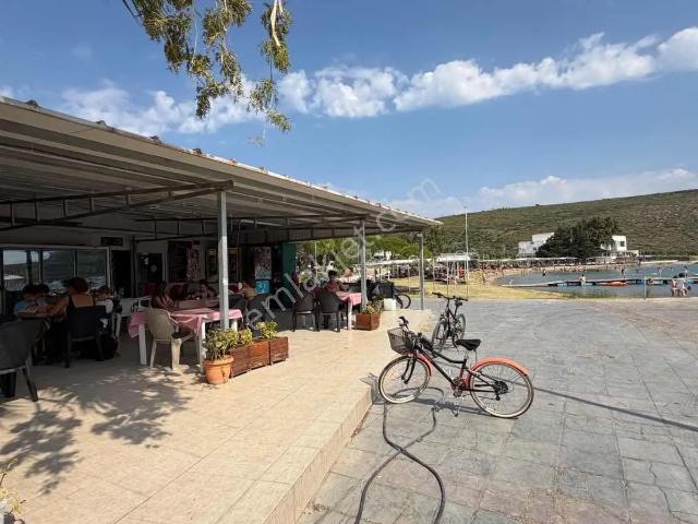 Urla, İzmir içerisinde kiralık Arsa