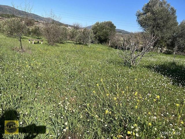 Urla, İzmir içerisinde satılık Arsa