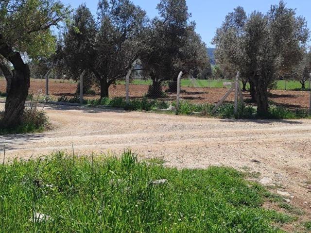 Urla, İzmir içerisinde satılık Arsa