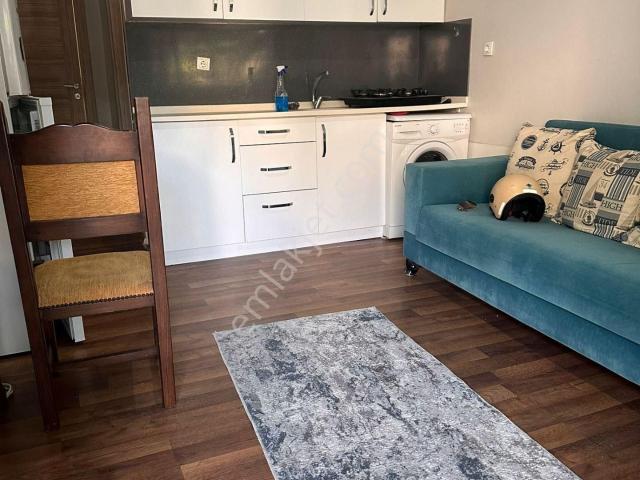 Urla, İzmir içerisinde kiralık mülk