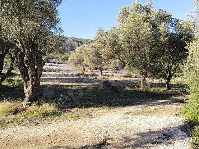 Kadıovacık Mahallesi, Urla içerisinde satılık mülk