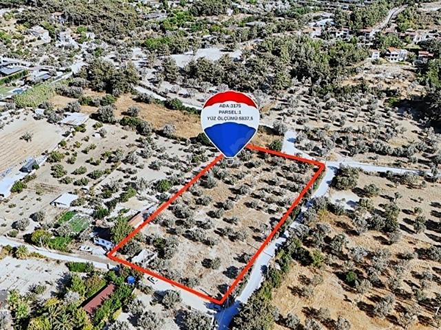 Urla, İzmir içerisinde satılık Arsa