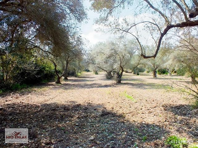 Urla, İzmir içerisinde satılık Arsa