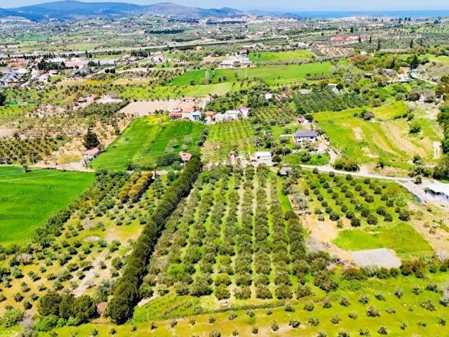 Urla, İzmir içerisinde satılık Arsa