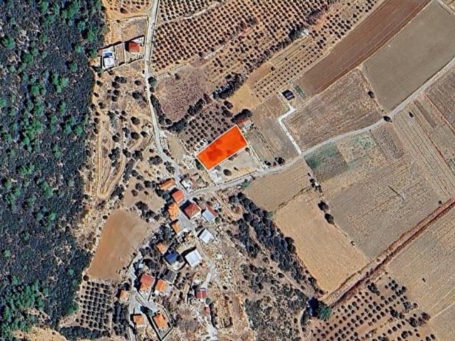 Nohutalan Mahallesi, Urla içerisinde satılık Arsa