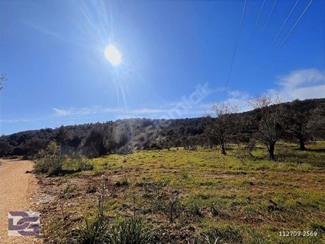 Urla, İzmir içerisinde satılık Arsa