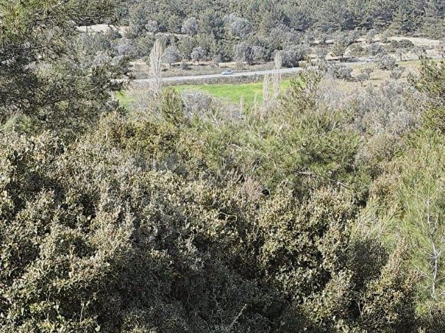 Urla, İzmir içerisinde satılık Arsa