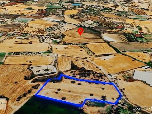 Urla, İzmir içerisinde satılık mülk