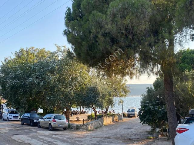 Urla, İzmir içerisinde kiralık mülk