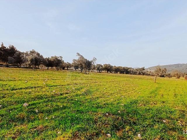 Urla, İzmir içerisinde satılık Arsa