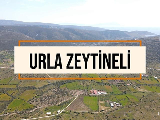 Urla, İzmir içerisinde satılık Arsa