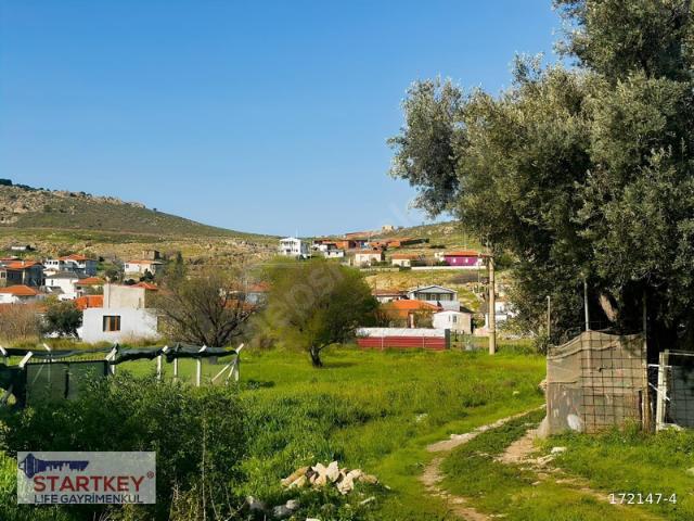 Zeytineli Mahallesi, Urla içerisinde satılık Arsa