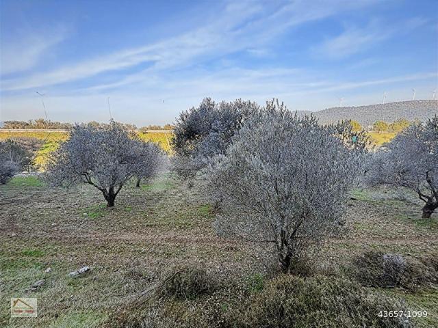 Urla, İzmir içerisinde satılık Arsa
