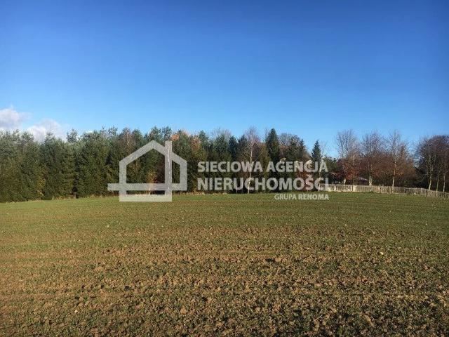 Grunt na sprzedaż w Czarna Dąbrówka, Pomorskie