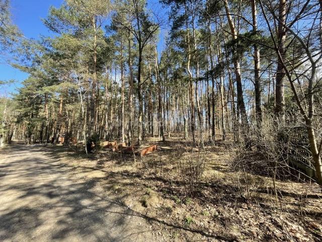 Grunt na sprzedaż w Warszawa, Mazowieckie