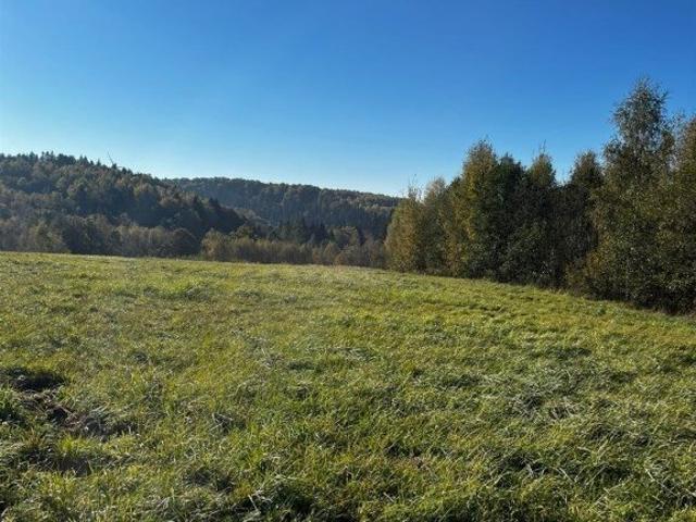 Grunt na sprzedaż w Dynów, Podkarpackie