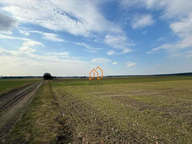 Grunt na sprzedaż w Rogalin, Wielkopolskie