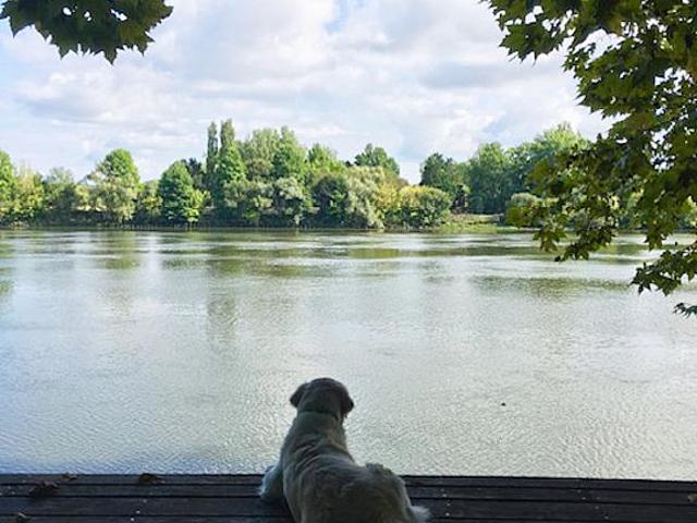 Maison vente à Urt, Pyrénées-Atlantiques