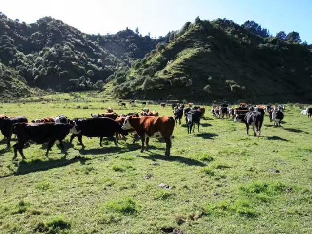 House for rent in Taranaki
