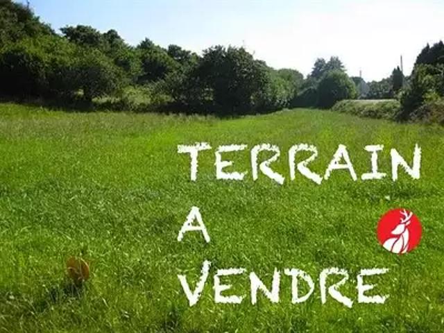 Terrain vente à Fontainebleau, Ury