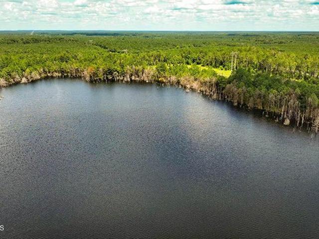 Land for sale in York, Alabama