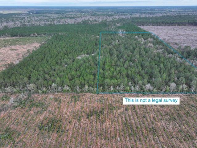 Land for sale in Deridder, Louisiana