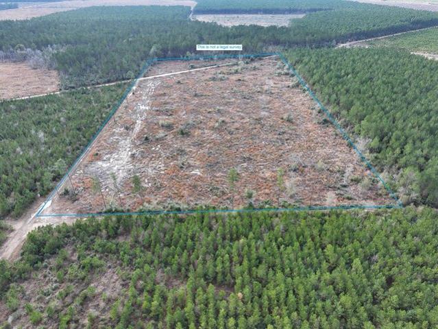Land for sale in Deridder, Louisiana