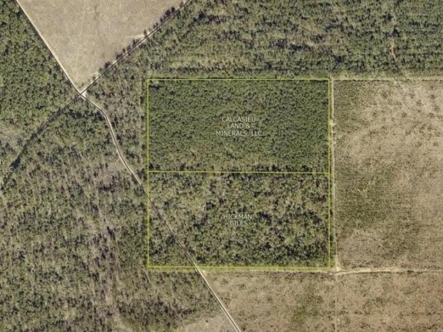 Land for sale in Deridder, Louisiana
