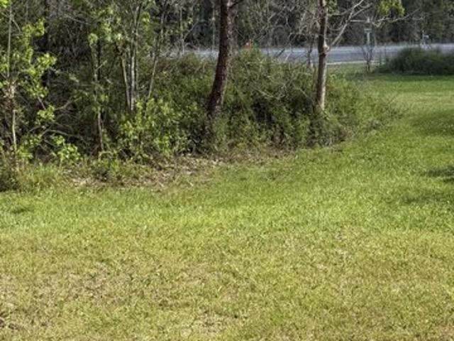 Land for sale in Merryville, Louisiana