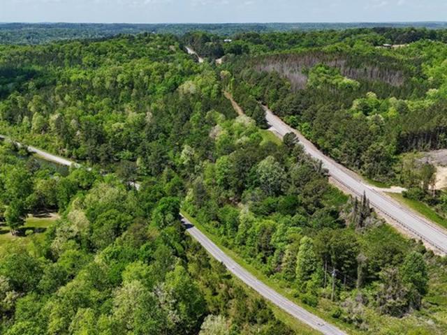 Land for sale in Double Springs, Alabama