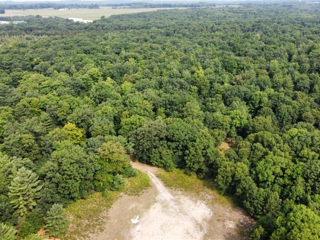 Land for sale in Michigan
