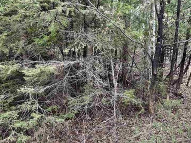 Land for sale in Pellston, Michigan