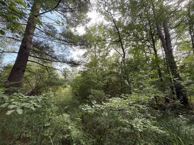 Land for sale in Manistee, Michigan